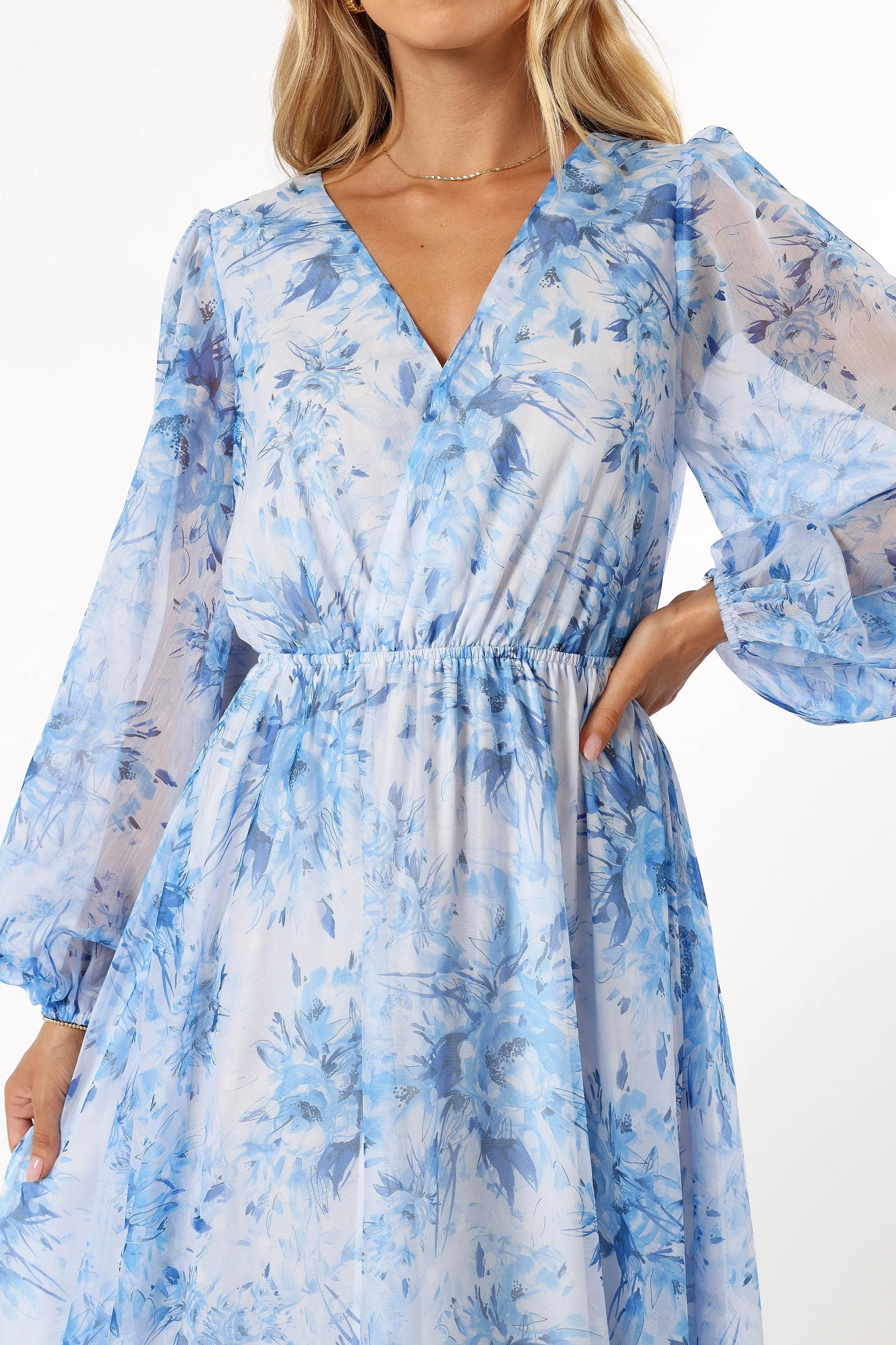 Anisa Maxi Dress - Blue Floral