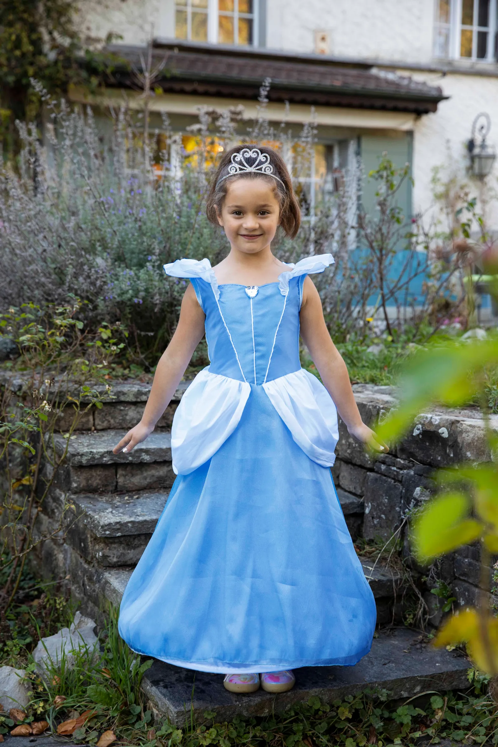 Boutique Cinderella Gown