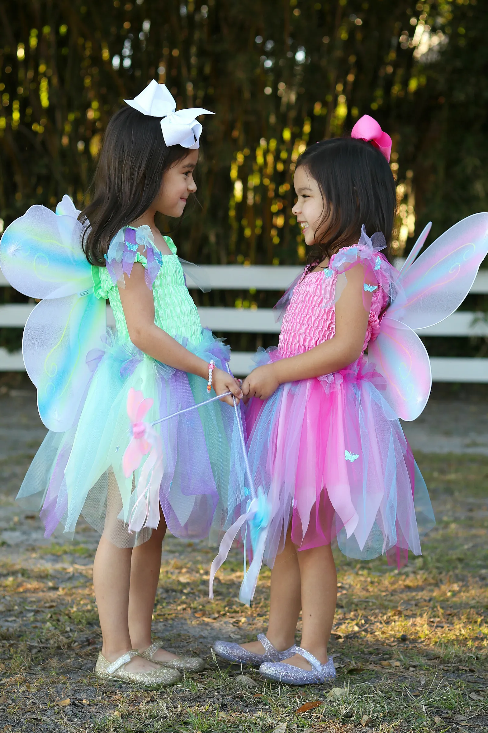 Butterfly Dress  & Wings With Wand Green/Multi