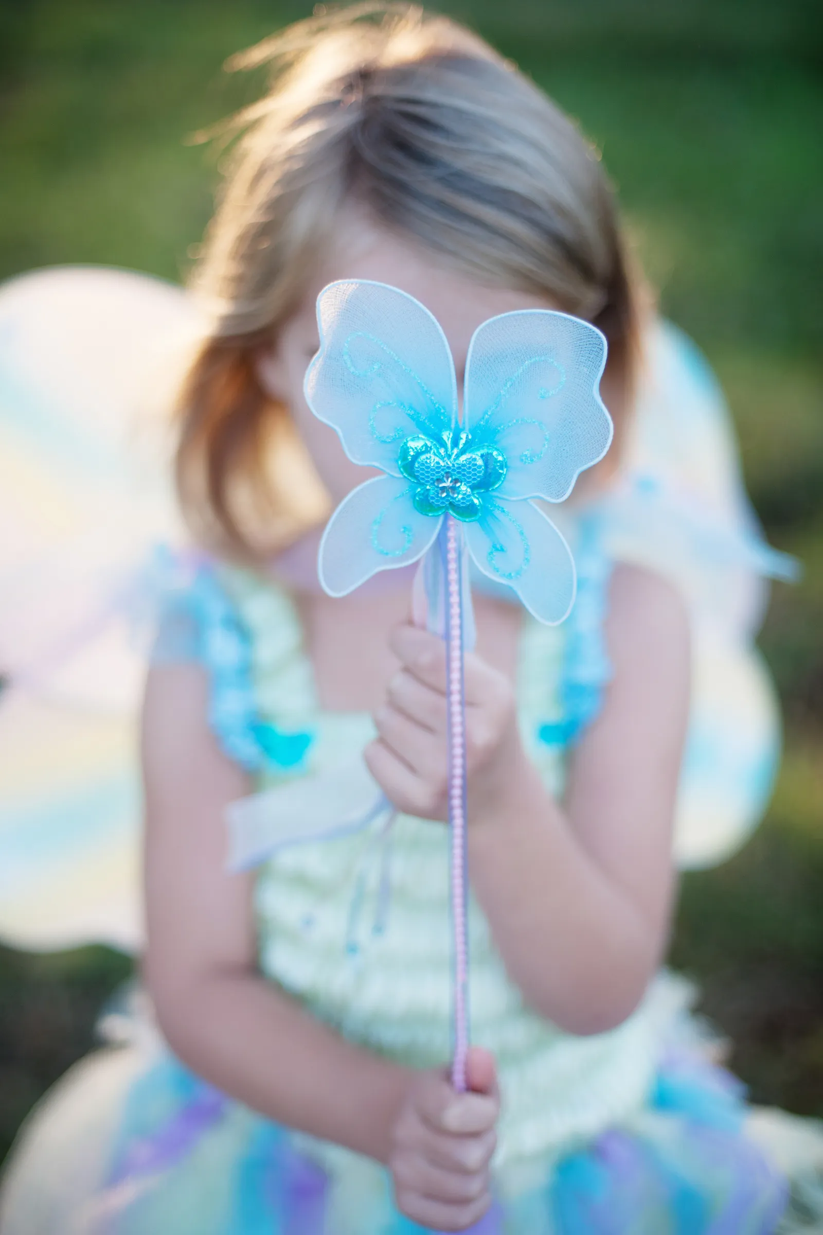 Butterfly Dress  & Wings With Wand Green/Multi