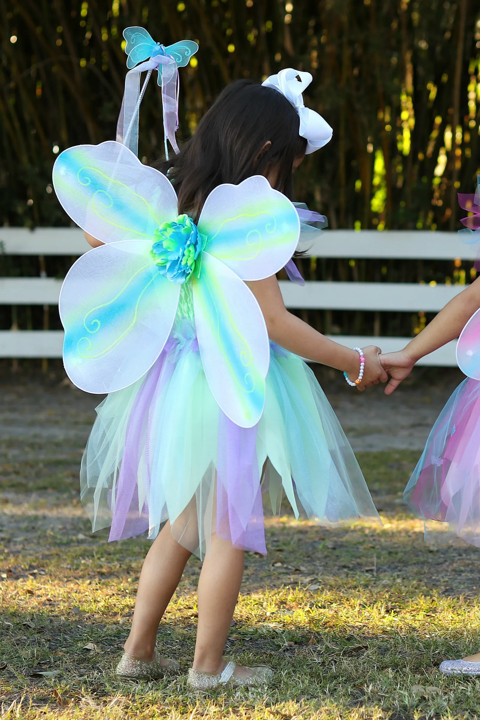 Butterfly Dress  & Wings With Wand Green/Multi