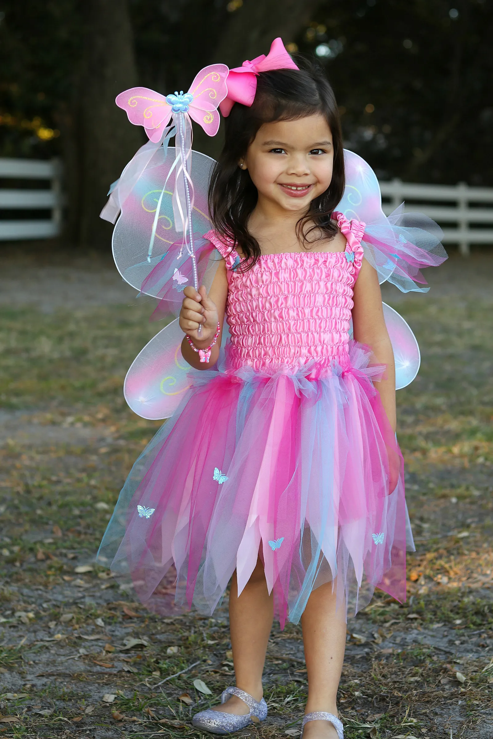 Butterfly Dress w/Wings & Wand, Pink/Multi