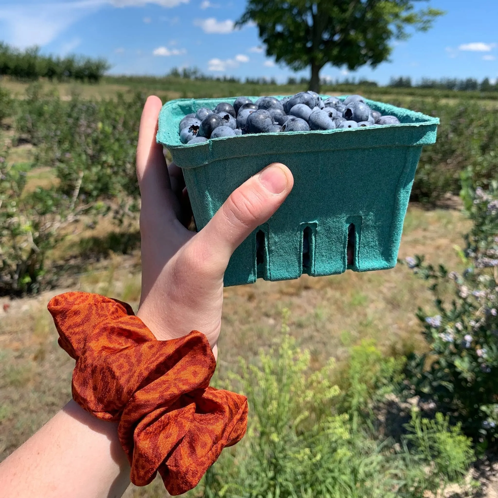 Eco-Friendly Scrunchie 5-Pack